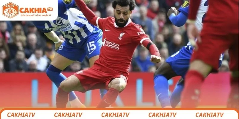 Nhận định chi tiết tình hình lực lượng 2 đội bóng Liverpool vs Brighton